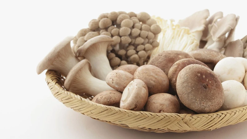 Nhiều loại nấm ăn và nấm dược liệu rất giàu Beta-glucan