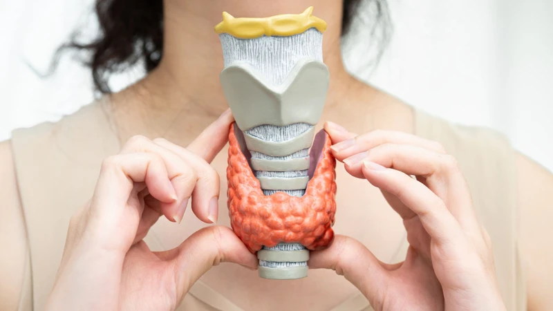 Bethesda nhóm 2 phản ánh nhân tuyến giáp có đặc điểm tế bào học lành tính