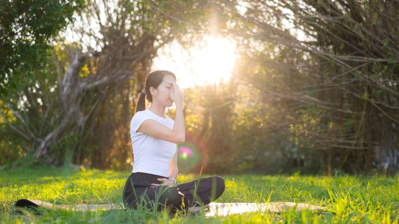 Đi bộ, yoga hoặc kéo giãn cơ nhẹ nhàng có thể giúp lưu thông máu và thư giãn thần kinh