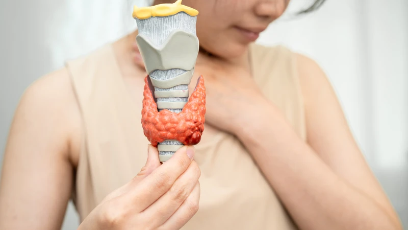 Bướu cường giáp có lây không? Bướu cường giáp không có khả năng lây nhiễm từ người sang người