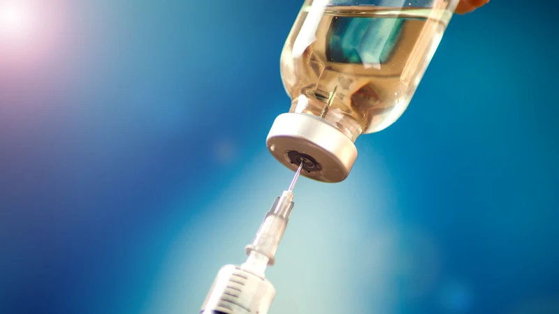 Bị chó hoặc mèo cắn, cào cần được tư vấn y tế sớm để đánh giá nguy cơ phơi nhiễm bệnh dại