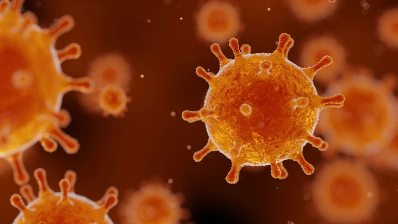 Virus cúm là tác nhân trực tiếp gây ra bệnh cúm