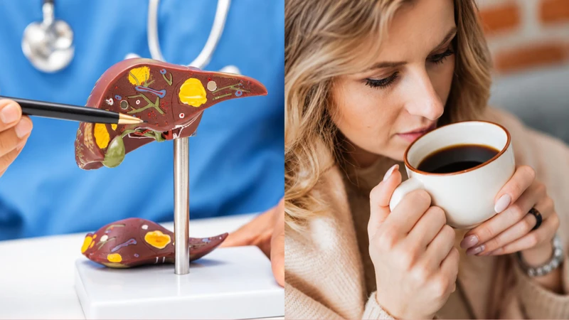 "Bị gan nhiễm mỡ có được uống cà phê không?" là thắc mắc được nhiều người quan tâm