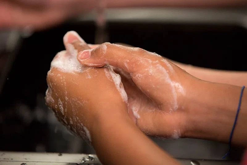 Bị kiến ba khoang cắn có sao không? Dấu hiệu nhận biết và cách phòng tránh hiệu quả 3