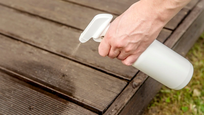 Thực hiện các biện pháp xua đuổi kiến để phòng ngừa tình trạng kiến cắn hiệu quả