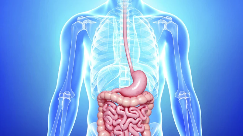 Bị lao phổi uống nước dừa được không? Giải đáp từ chuyên gia 3