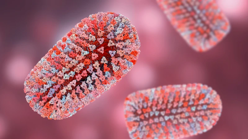 Bị mèo cào bao lâu thì phát bệnh dại? Virus dại thường âm thầm trong giai đoạn đầu nên cần xử lý và tiêm phòng sớm sau khi bị mèo cào