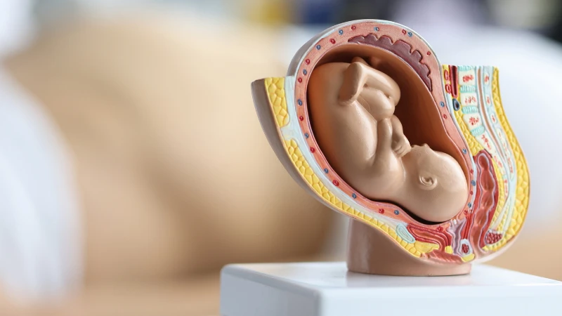 Bị nhiễm HPV 18 có thai được không? 5 điều cần lưu ý 2