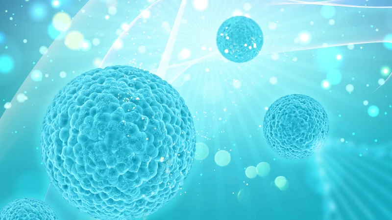Bị nhiễm HPV type 16 có chữa được không​? 1