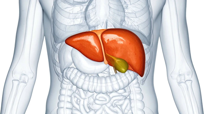 Bị polyp túi mật 4mm có nguy hiểm không là câu hỏi thắc mắc của nhiều người