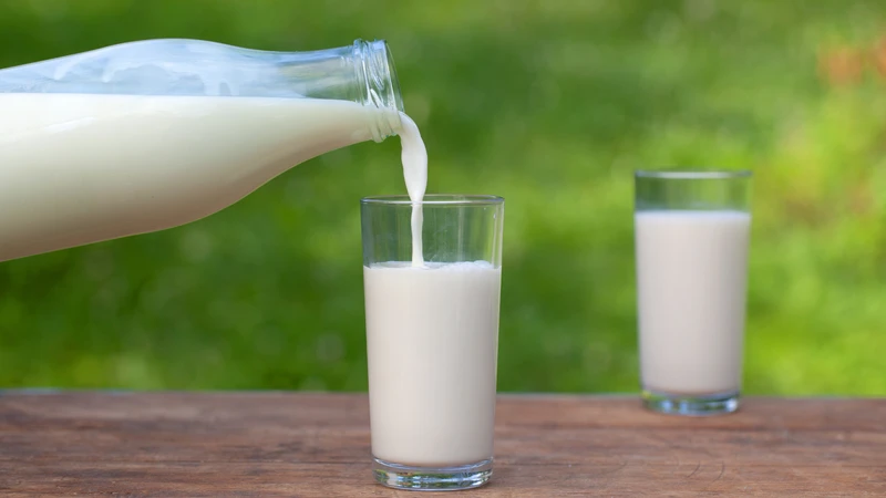 Bị sảy thai nên uống sữa gì để nhanh lấy lại sức khỏe? Sữa bò cung cấp protein và canxi, hỗ trợ cơ thể phục hồi