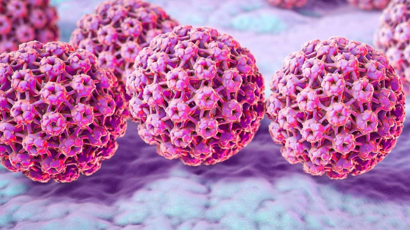 bi-sui-mao-ga-co-tiem-phong-HPV-duoc-khong 2.png