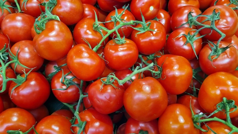 Cà chua chứa lycopene, vitamin C và nhiều hợp chất thực vật khác