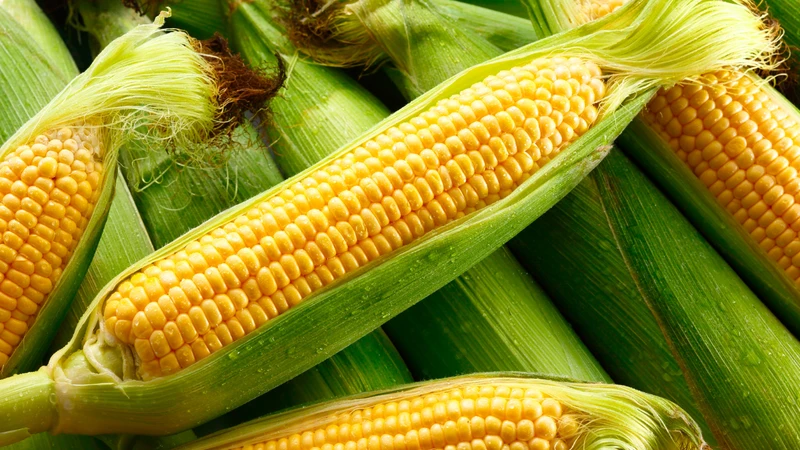 Bị tuyến giáp có ăn được ngô không?