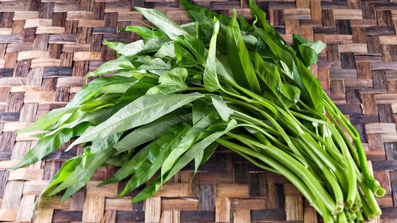 Bị u tuyến giáp có ăn được rau muống không? Người bệnh vẫn có thể ăn rau muống, chỉ cần chú ý lượng vừa phải
