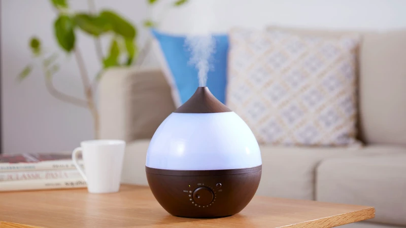 Duy trì độ ẩm không khí phù hợp góp phần bảo vệ sức khỏe đường hô hấp