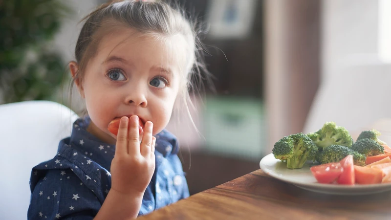 Trẻ bắt đầu đi nhà trẻ, thay đổi môi trường và người chăm sóc, dễ ảnh hưởng đến thói quen ăn uống