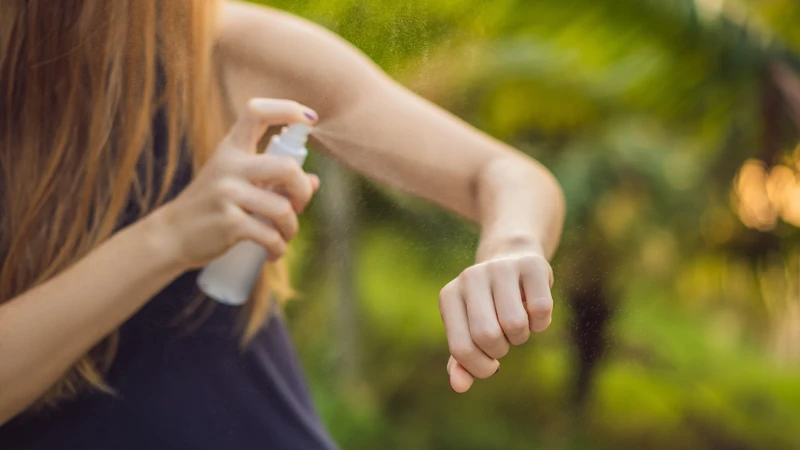 Vệ sinh môi trường sống sạch sẽ là biện pháp hiệu quả để hạn chế bọ xít xuất hiện trong nhà
