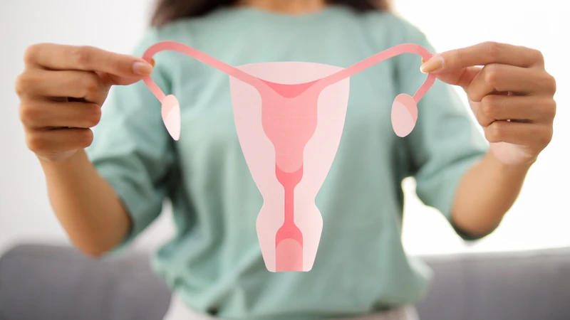 Đầy hơi kéo dài trên 2 tuần kèm buồn nôn và mệt mỏi có thể là dấu hiệu ung thư buồng trứng