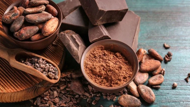 Ca cao có hàm lượng caffeine thấp