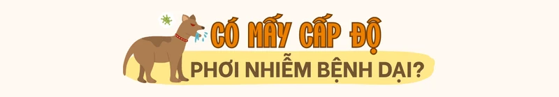 cac-cap-do-phoi-nhiem-benh-dai-va-huong-xu-tri-sau-khi-bi-dong-vat-can-3 (2).png