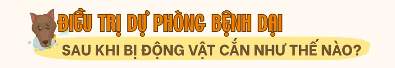 cac-cap-do-phoi-nhiem-benh-dai-va-huong-xu-tri-sau-khi-bi-dong-vat-can-3.png