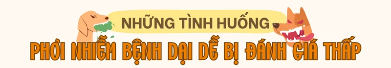 cac-cap-do-phoi-nhiem-benh-dai-va-huong-xu-tri-sau-khi-bi-dong-vat-can-4.png