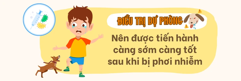 cac-cap-do-phoi-nhiem-benh-dai-va-huong-xu-tri-sau-khi-bi-dong-vat-can-5.png