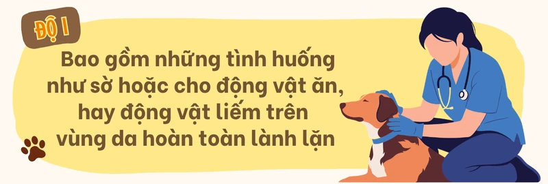 cac-cap-do-phoi-nhiem-benh-dai-va-huong-xu-tri-sau-khi-bi-dong-vat-can-7.png