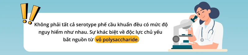 cac-chung-phe-cau-pho-bien-toan-cau.png