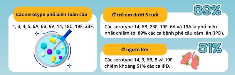 cac-chung-phe-cau-pho-bien-toan-cau (1).png