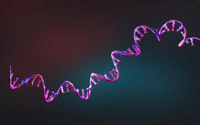 U gan ác tính hình thành chủ yếu do sự đột biến DNA trong tế bào gan
