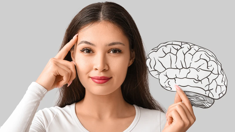 DHA trong omega 3 là thành phần quan trọng của não bộ và hệ thần kinh