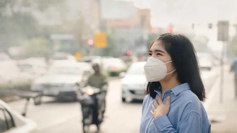 Các loại ô nhiễm môi trường có thể ảnh hưởng đến nhiều khía cạnh của đời sống