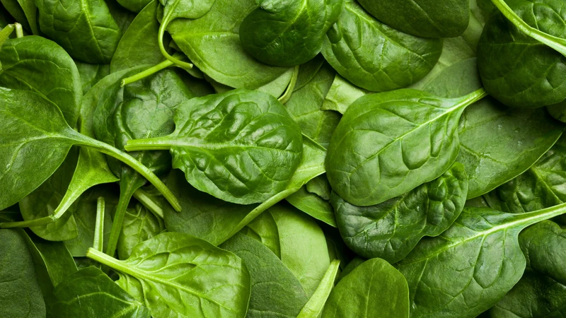 Rau chân vịt cung cấp chất xơ, folate, vitamin và khoáng chất