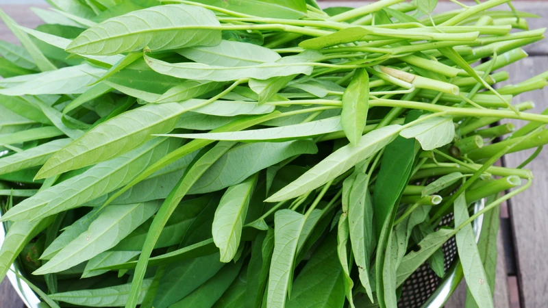 Rau muống là loại rau quen thuộc, góp phần đa dạng khẩu phần hằng ngày