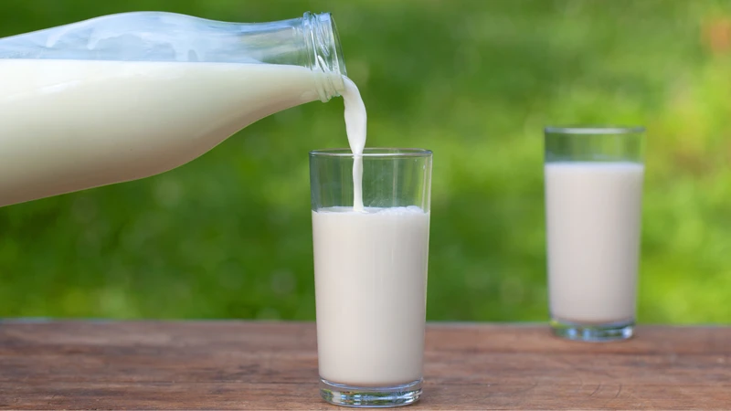 Sữa tươi chứa nhiều dinh dưỡng cho trẻ