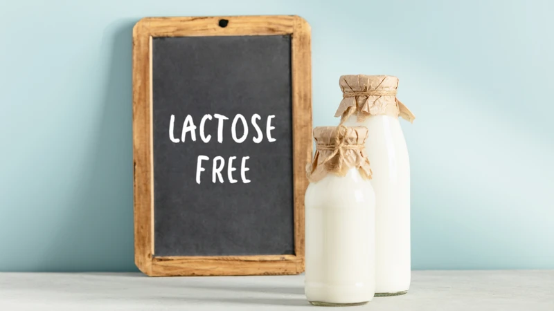 Các loại sữa tươi không chứa lactose phổ biến hiện nay