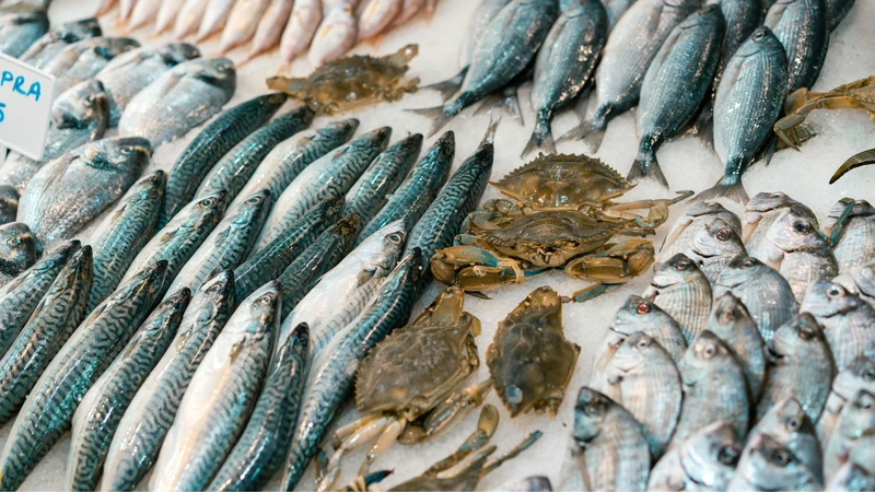 Ngoài canxi, thịt cá chứa nhiều axit béo omega-3 tốt cho sức khỏe tim mạch