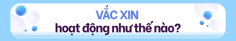 Các loại vắc xin phòng bệnh theo cơ chế hoạt động