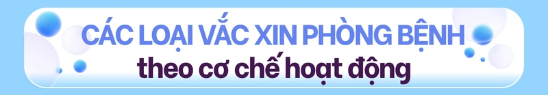 Các loại vắc xin phòng bệnh theo cơ chế hoạt động 3