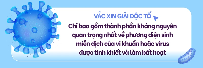 Các loại vắc xin phòng bệnh theo cơ chế hoạt động 5