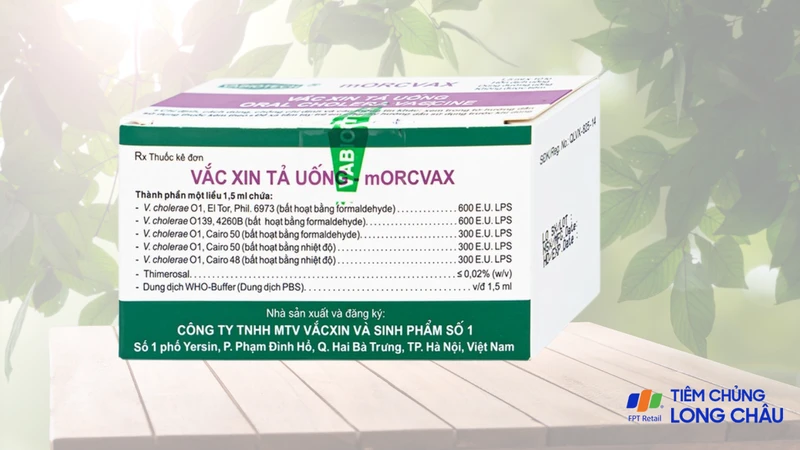 Các nguyên nhân gây bệnh và cách phòng tránh bệnh tả 4