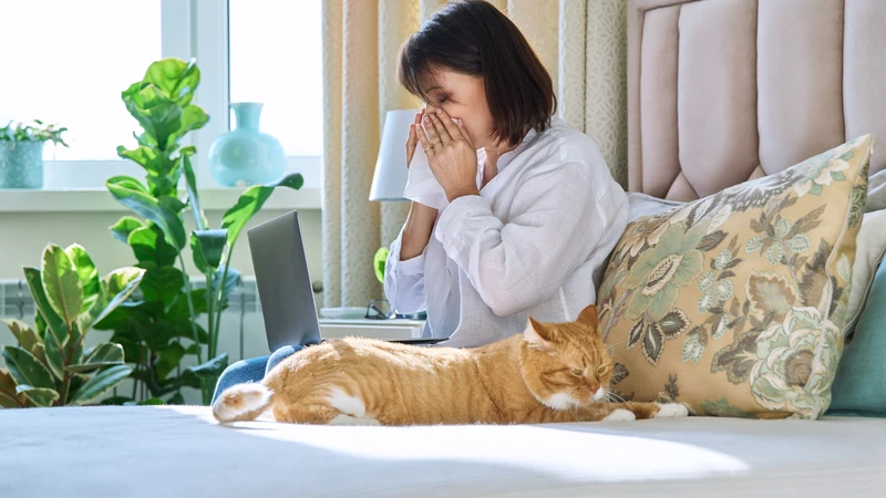 Các triệu chứng của viêm mũi dị ứng và biện pháp phòng ngừa 2
