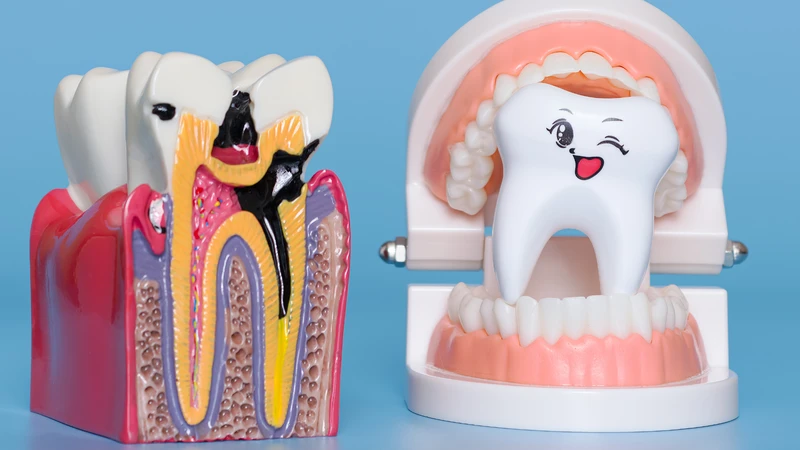 Dụng cụ vệ sinh răng miệng và kem đánh răng có fluoride