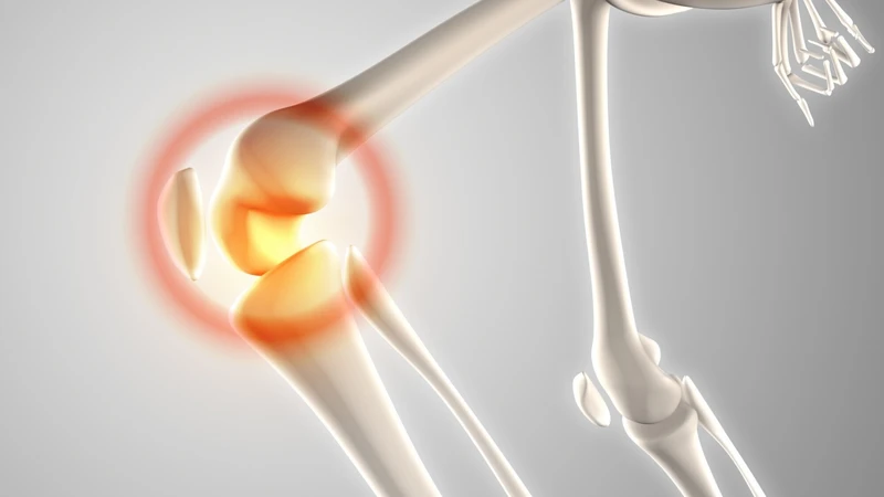 Cách nhận biết dấu hiệu ngừng phát triển chiều cao ở nam 1