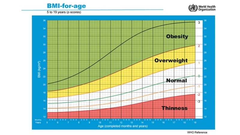 Cách tính và đánh giá chỉ số bmi trẻ em ba mẹ cần biết 1