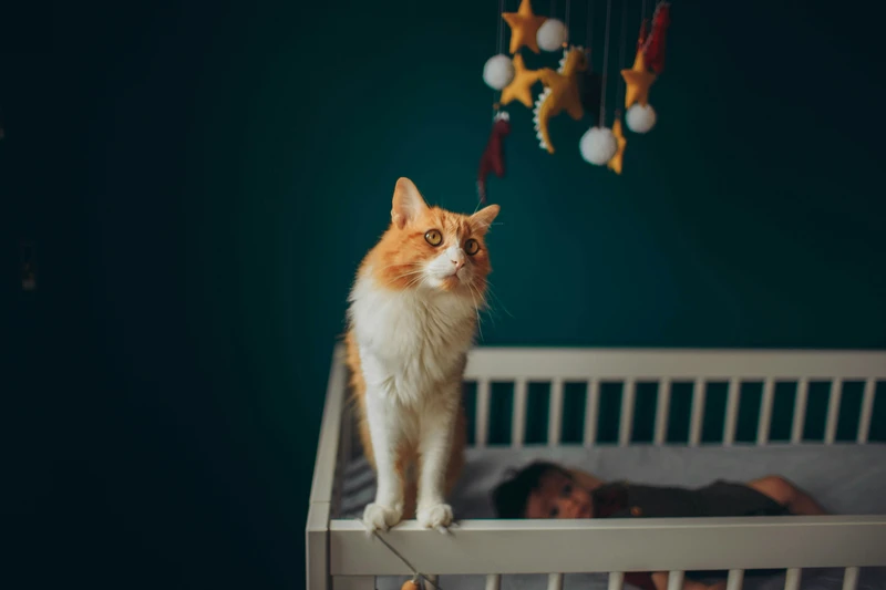Cách trị ho cho trẻ sơ sinh 4 tháng tuổi an toàn tại nhà 3