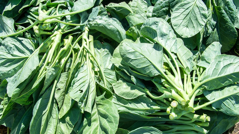Cải ngồng giàu vitamin, khoáng chất và chất xơ, hỗ trợ tiêu hóa khỏe mạnh, tăng cường sức khỏe mỗi ngày