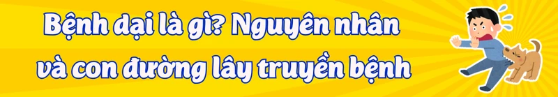can-trong-nguy-co-benh-dai-am-tham-tang-tro-lai-title-1.png